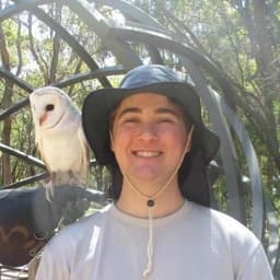 Joel, tutor offering online and in-person lessons at KIS Academics