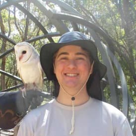 Profile photo of Joel, tutor offering online and in-person lessons at KIS Academics
