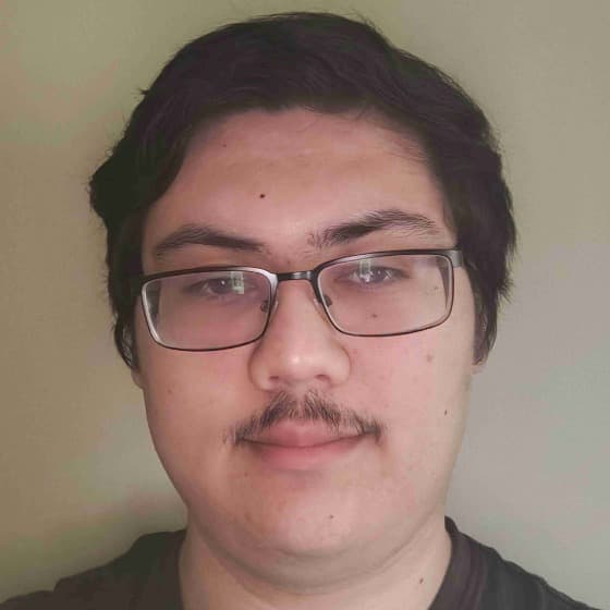 Profile photo of David, tutor offering online and in-person lessons at KIS Academics
